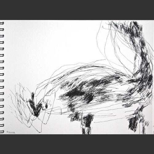 Skunk